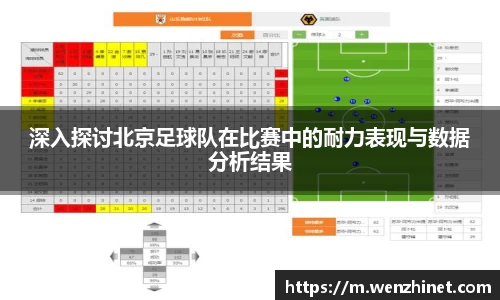 深入探讨北京足球队在比赛中的耐力表现与数据分析结果