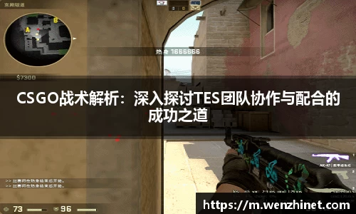 CSGO战术解析：深入探讨TES团队协作与配合的成功之道