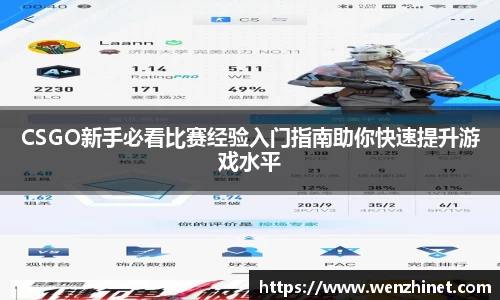Vsport体育