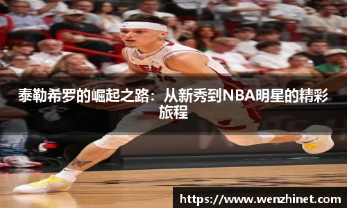 vsport体育官网入口