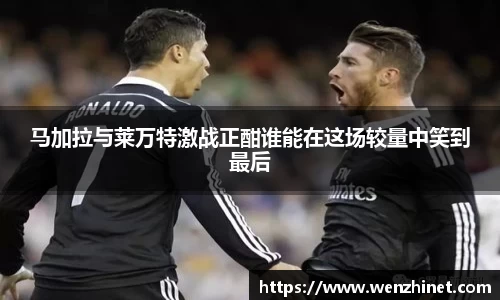 vsport体育官网入口