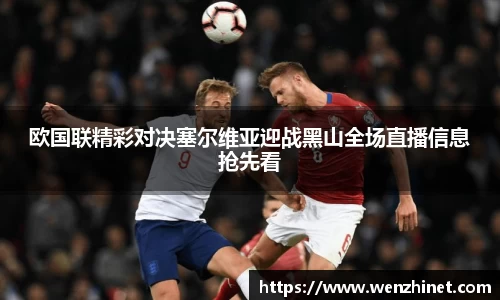 vsport体育官网